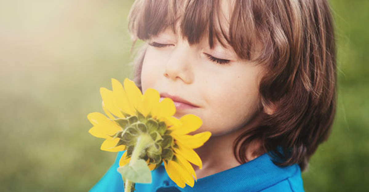 Il profumo nello sviluppo del bambino