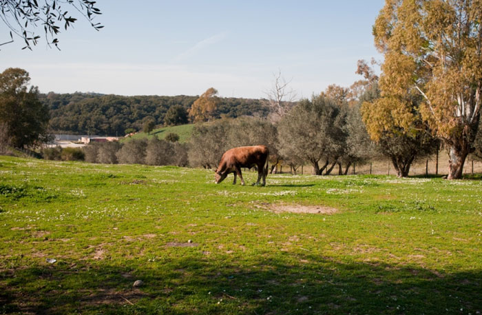 fattoria di chiara e arianna