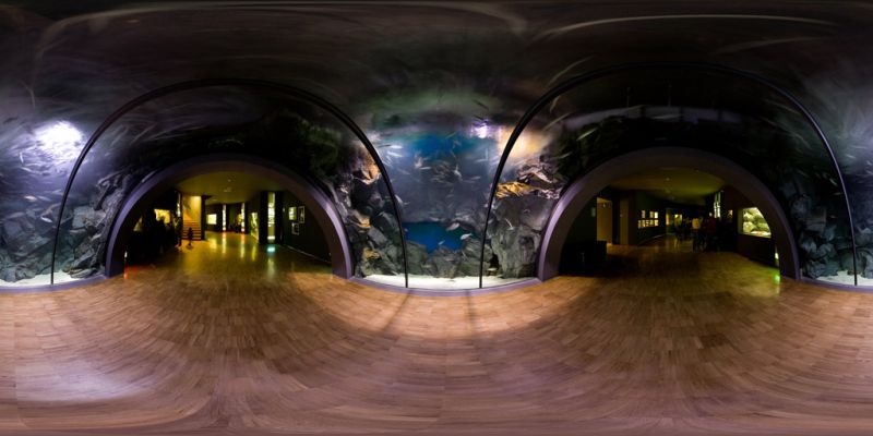 acquario civico
