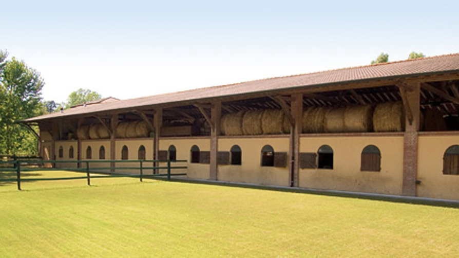 bullona3