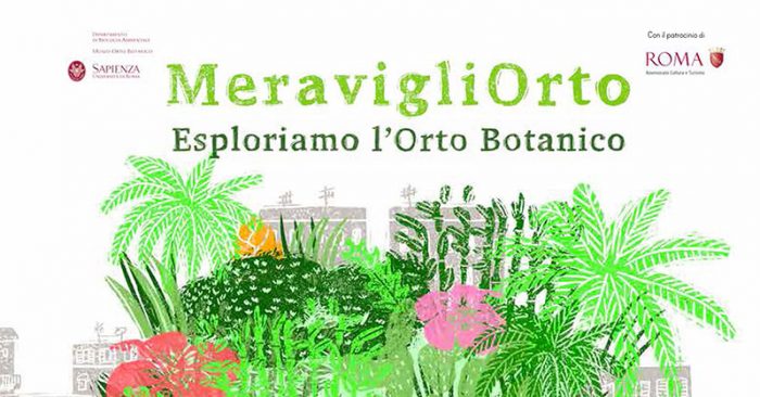 MeravigliOrto