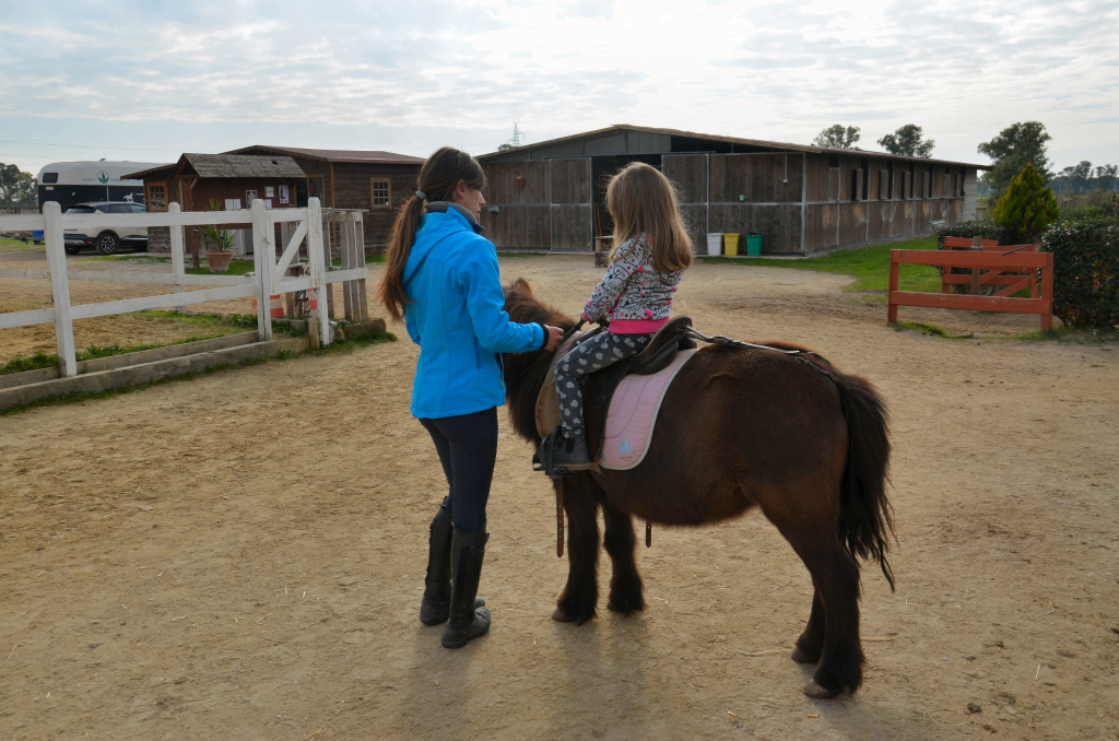 Associazione equestre Il Castello