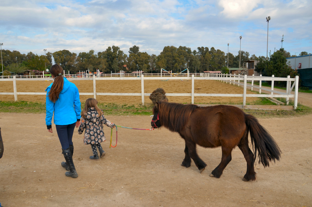 Associazione equestre Il Castello