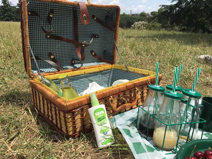 Picnic