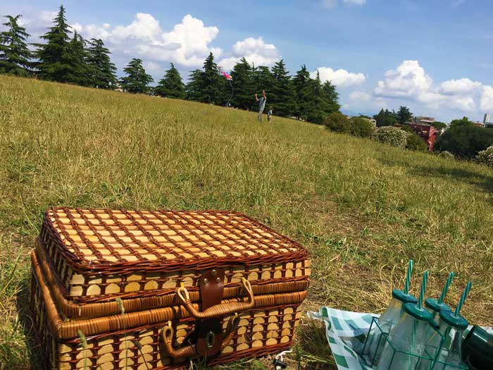Picnic