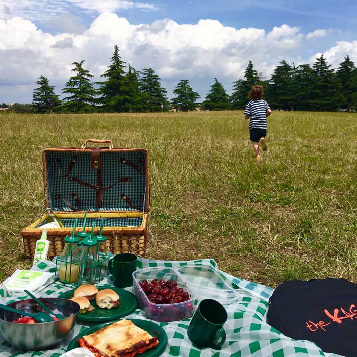 Picnic