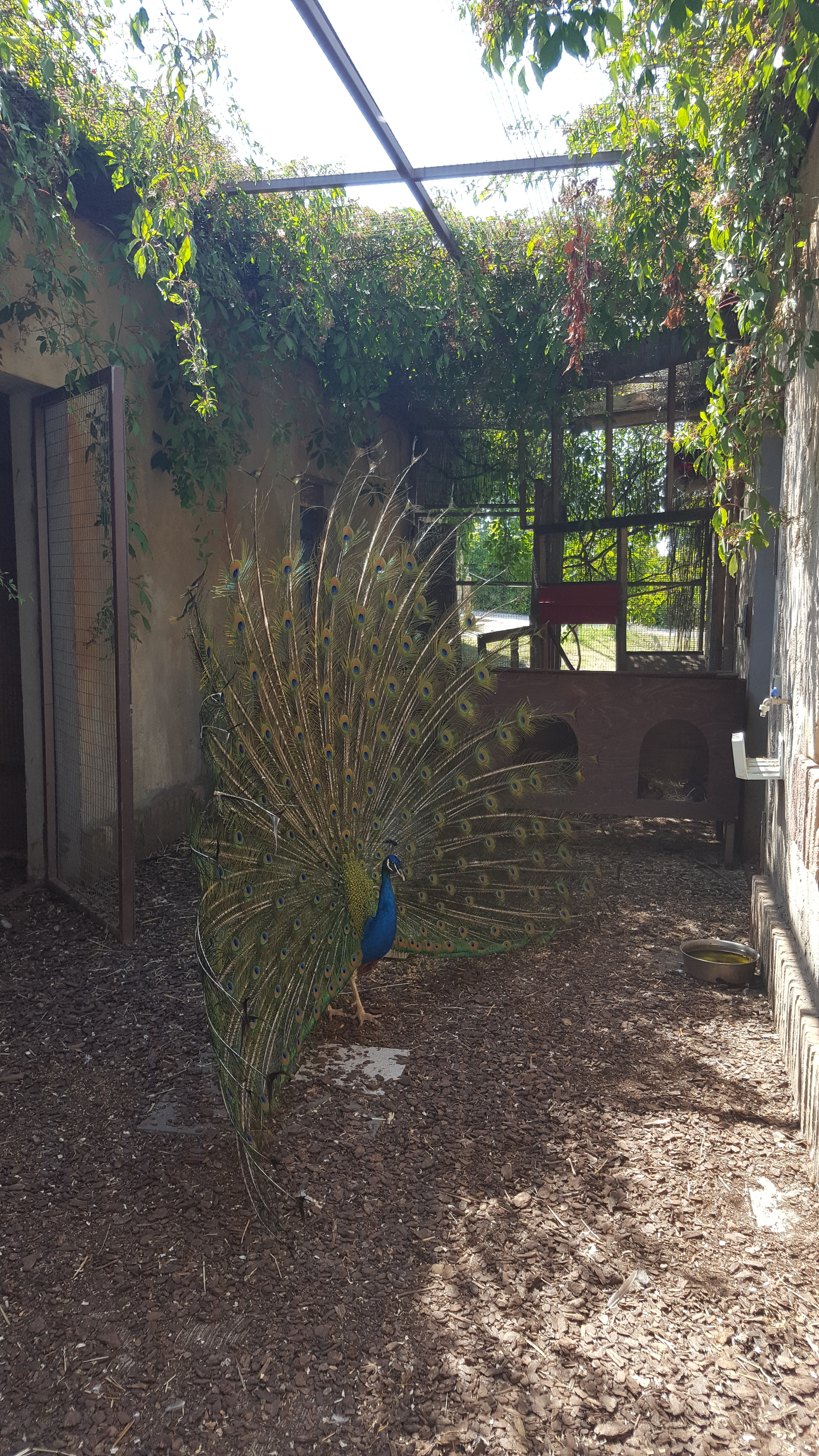 parchi della riviera