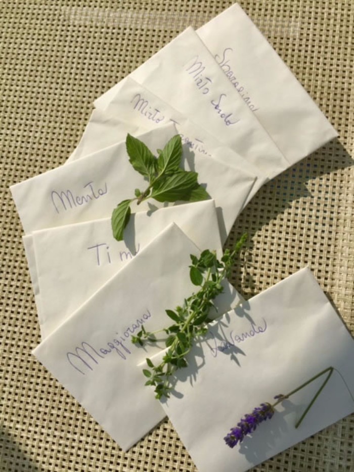 Riviera del Conero con i Bambini