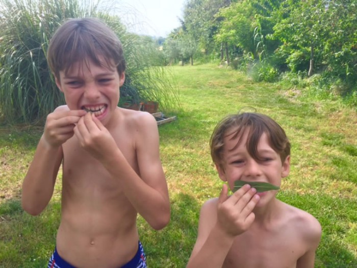 Riviera del Conero con i Bambini