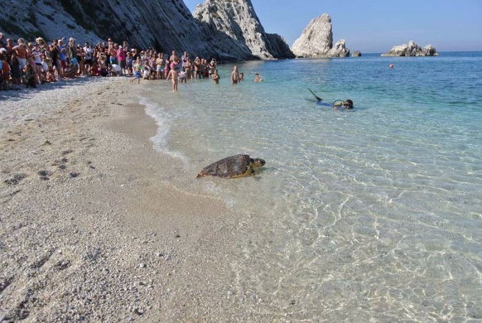Riviera del Conero con i Bambini
