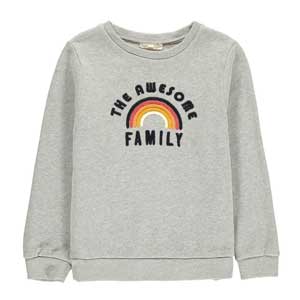 felpa-the-awesome-family