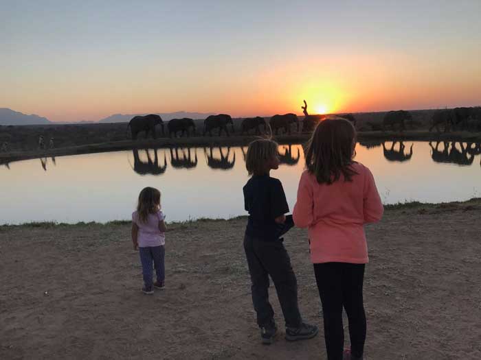 Safari con i bambini elefanti