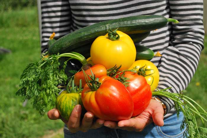 Rischi alimentari in gravidanza