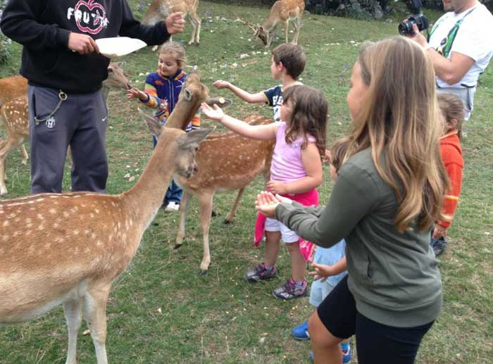 Campus estivo in montagna