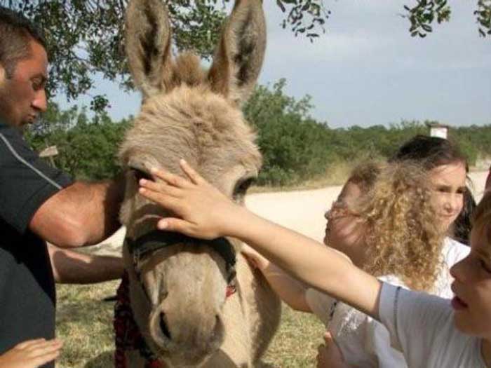 Le idee più originali sui centri estivi per bambini