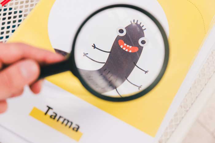 L'invasione degli insetti in estate