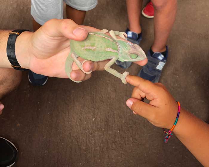 Sardegna con i bambini