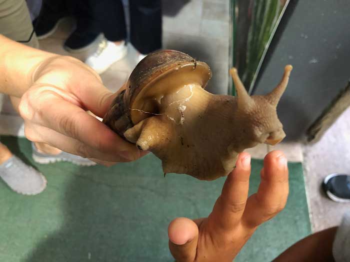 Sardegna con i bambini