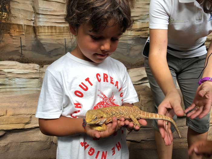 Sardegna con i bambini