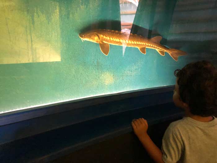 Sardegna con i bambini