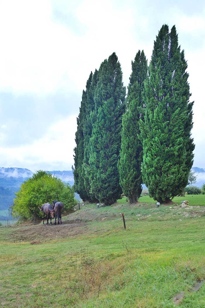 segreti-del-borgo