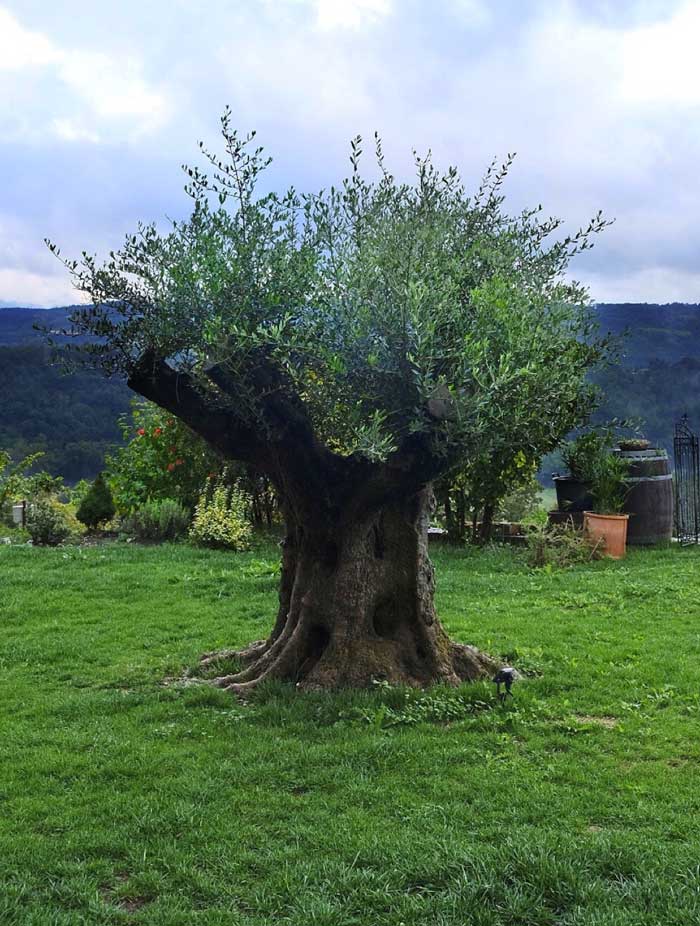 segreti-del-borgo