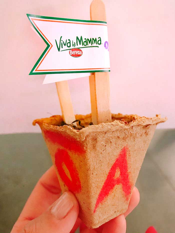 viva la mamma day