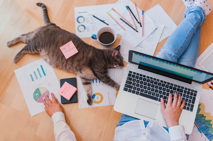 smart-working-pareri