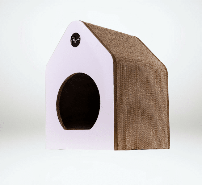 cuccia-cartone-gatti-feline