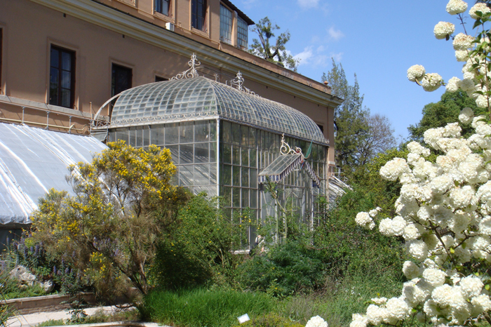 Orto-Botanico-di-Roma-YAM