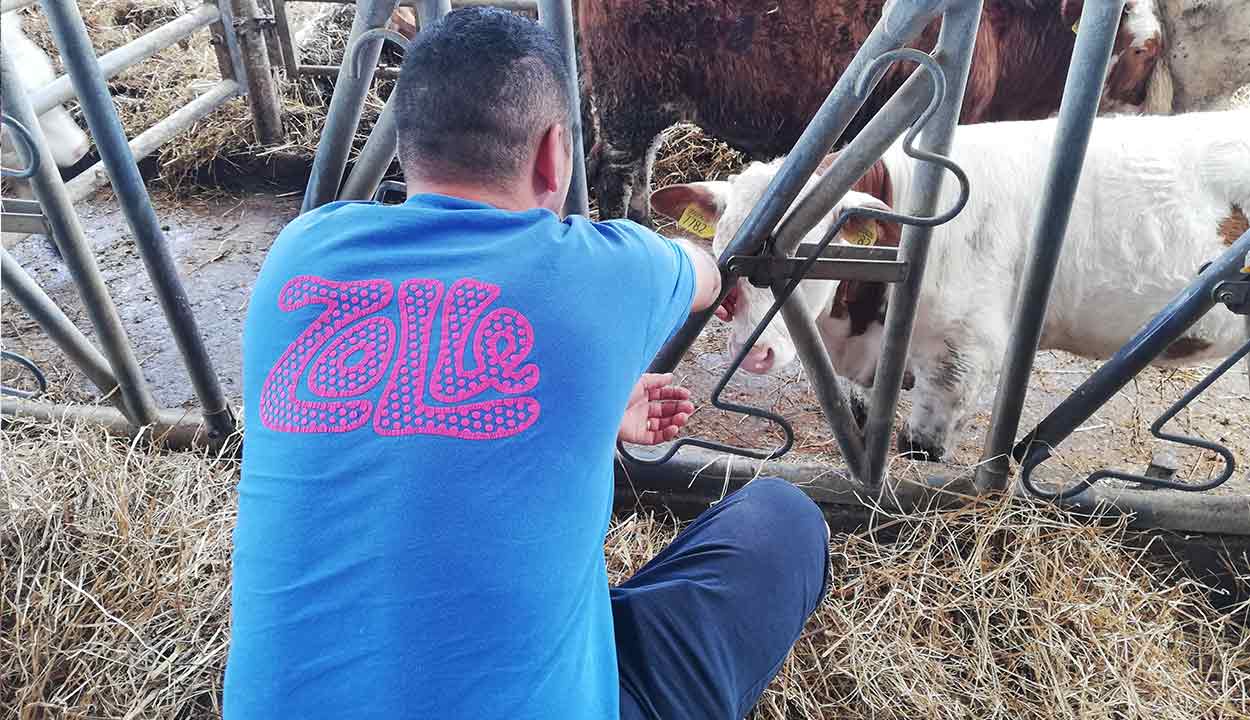 cibo biologico sano a domicilio roma
