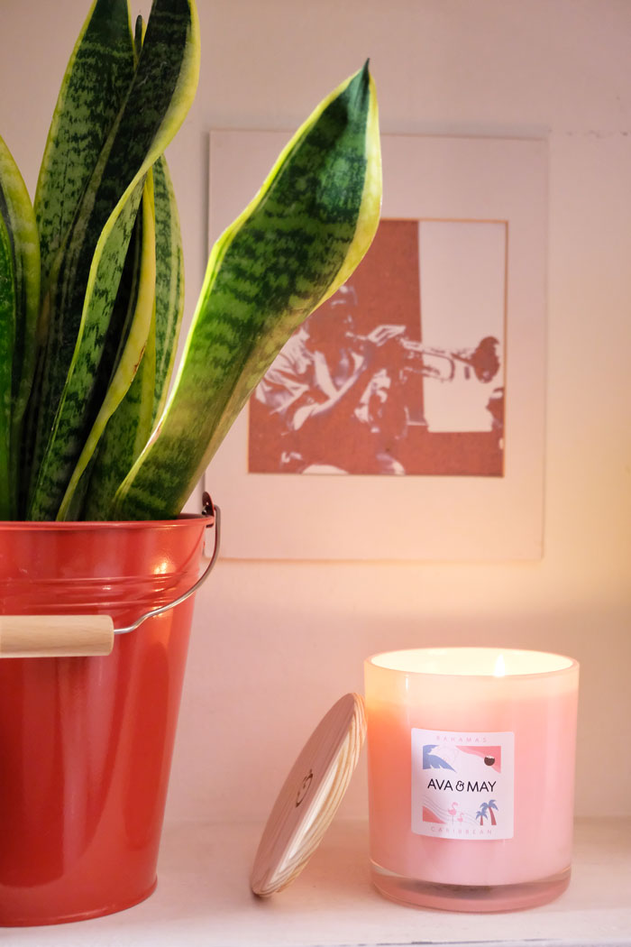 come-riempire-casa-profumi-ava-may