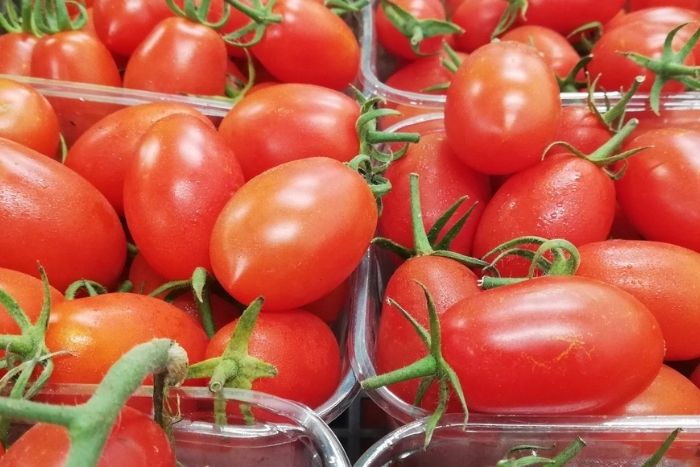 Zolle cibo biologico a domicilio Roma