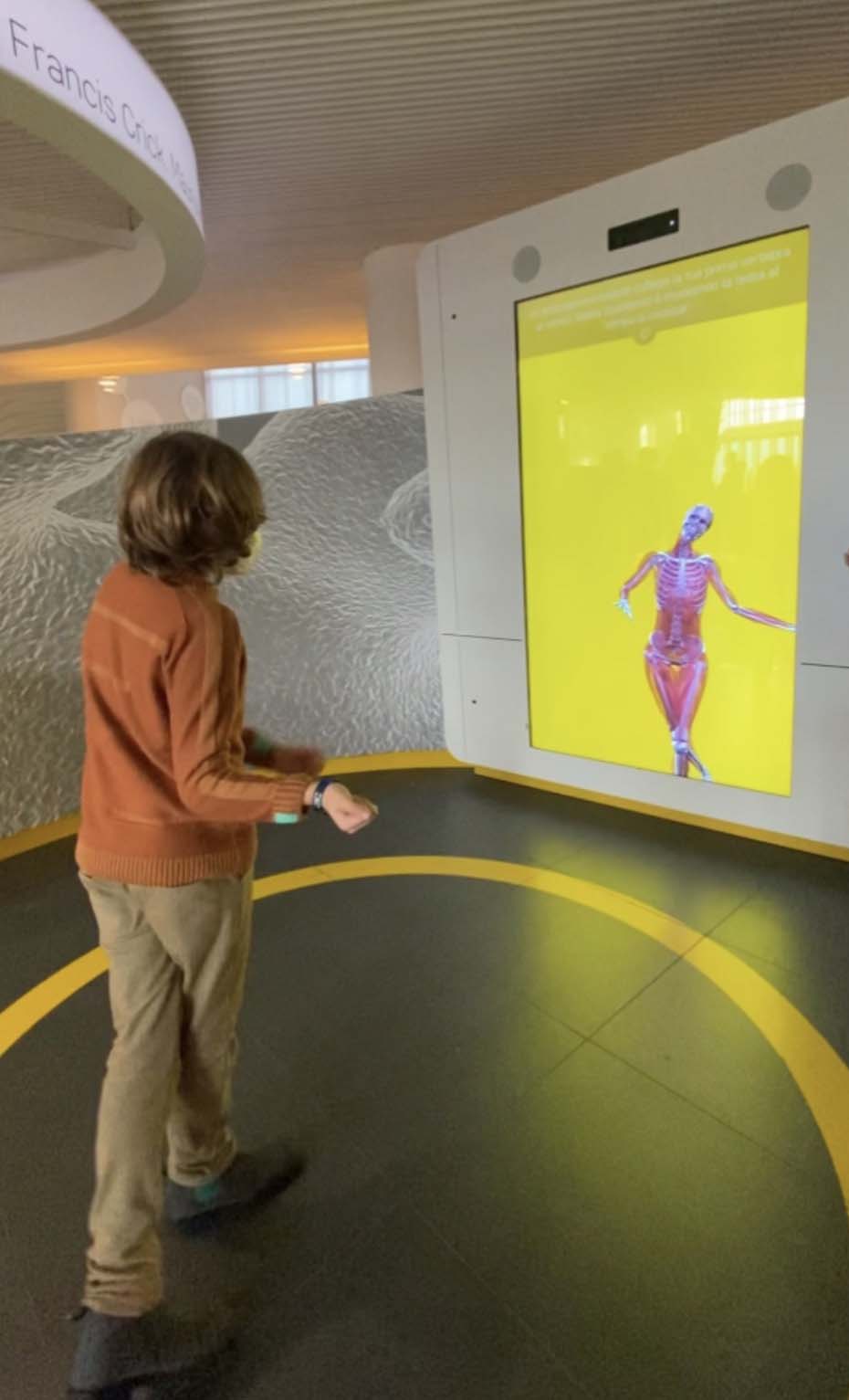 citta della scienza corporea museo