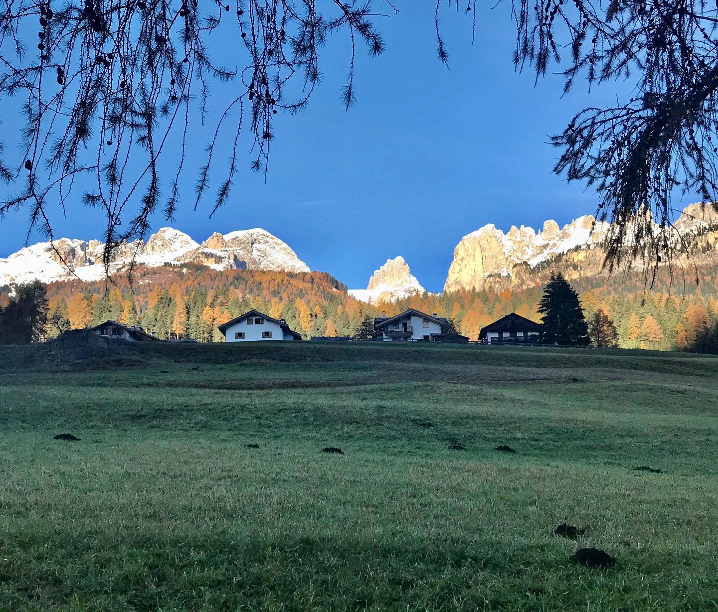 family hotel andes val di fassa