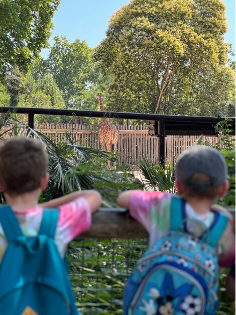 AOSR&rsquo;s Summer Camp in Rome