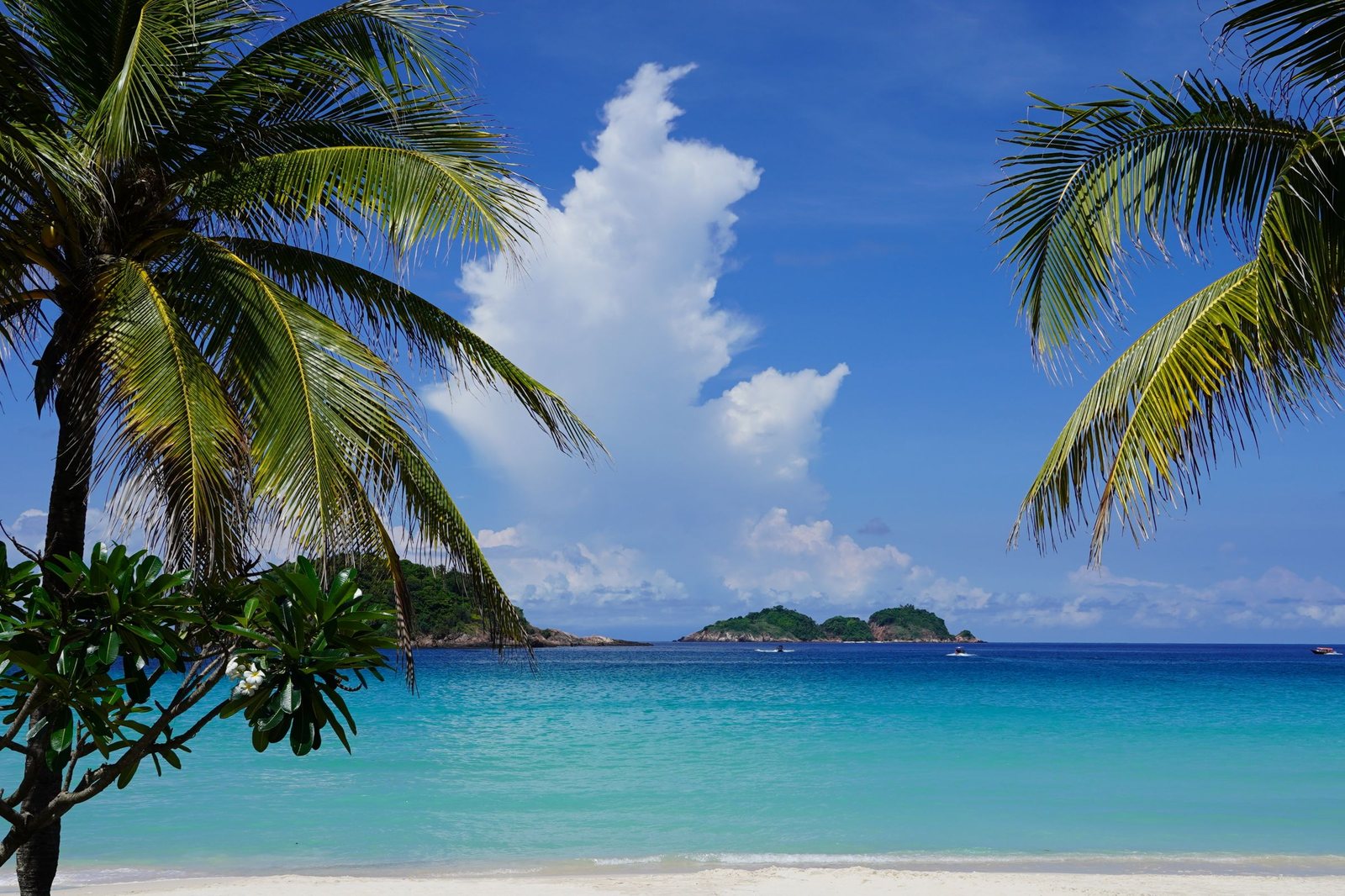 peridot-redang-beach-clear-water-palms